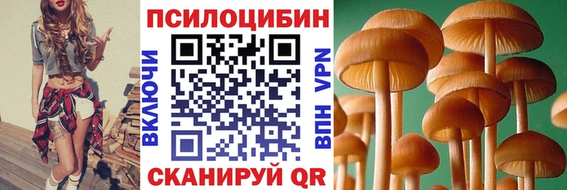 Галлюциногенные грибы ЛСД  Мариинск 