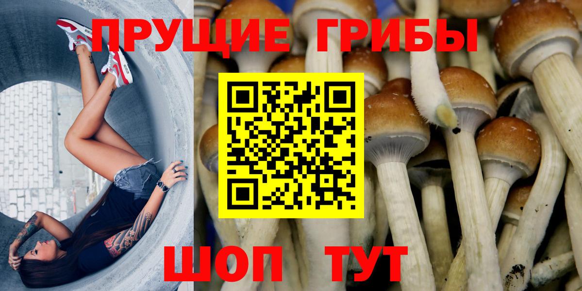 Мариинск  Псилоцибиновые грибы Psilocybe  Вход с VPN 